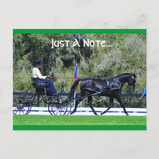 ライブオークコード ポストカード (正面)