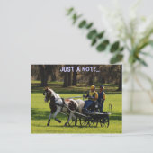 ライブオークコード ポストカード (スタンド正面)