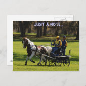 ライブオークコード ポストカード (正面/裏面)