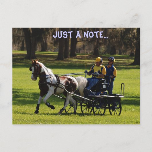 ライブオークコード ポストカード (正面)