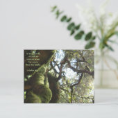 ライブオークスミュア引用文 ポストカード (スタンド正面)