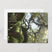 ライブオークスミュア引用文 ポストカード (正面/裏面)