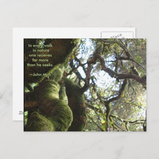 ライブオークスミュア引用文 ポストカード (正面/裏面)