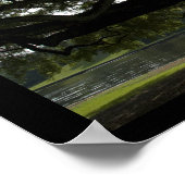 ライブオークス – ルイジアナ ポスター (角)