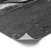 ライブオークツリーズ諺ポスタープリント ポスター (角)