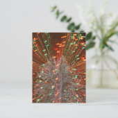 ライブオークフロリダツリークリスマスライトズーム シーズンポストカード (スタンド正面)