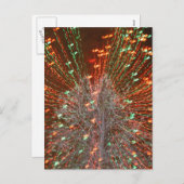 ライブオークフロリダツリークリスマスライトズーム シーズンポストカード (正面/裏面)