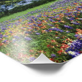 ライブオーク&テキサス州ペイントブラシ、テキサス州 フォトプリント            (角)