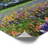 ライブオーク&テキサス州ペイントブラシ、テキサス州 ポスター (角)