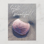 ライブサンドドルフォトハロービューティフル葉書 ポストカード (正面)