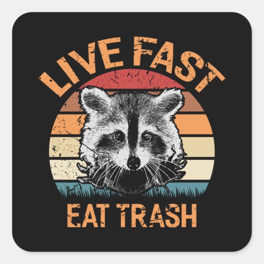 ライブファスト食べゴミレトロラクーンヴィンテージおもしろい スクエアシール (正面)