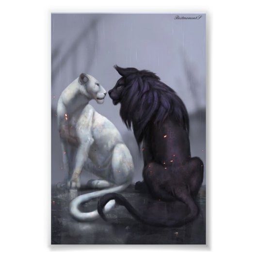 ライブポスター フォトプリント            (正面)