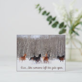 ライブライフ…誰かが門を開け離れたように! ポストカード (スタンド正面)