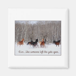 ライブライフ…誰かが門を開け離れたように！ マグネット