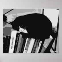 ライブラリCat
