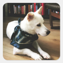 ライブラリEnoステッカー