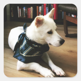 ライブラリEnoステッカー スクエアシール