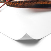 ライブロブスター ポスター (角)