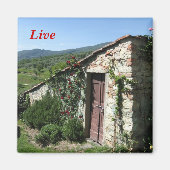 ライブ マグネット (正面)