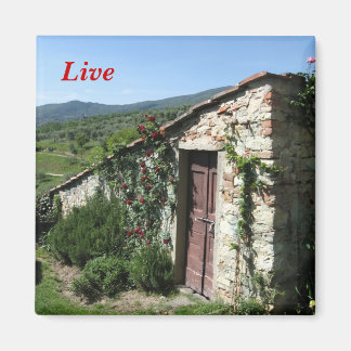 ライブ マグネット