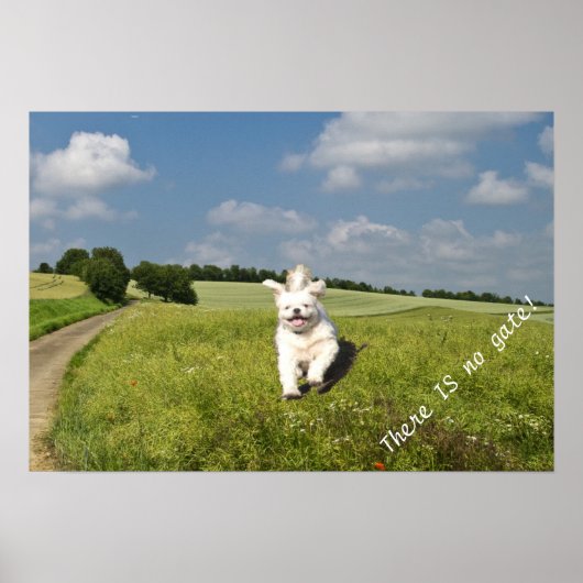 「ライブ・ライク…」 ポスター – 仏教徒（マトリックス）版！ (正面)