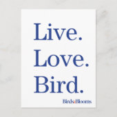 ライブ。愛.鳥。 ポストカード (正面)
