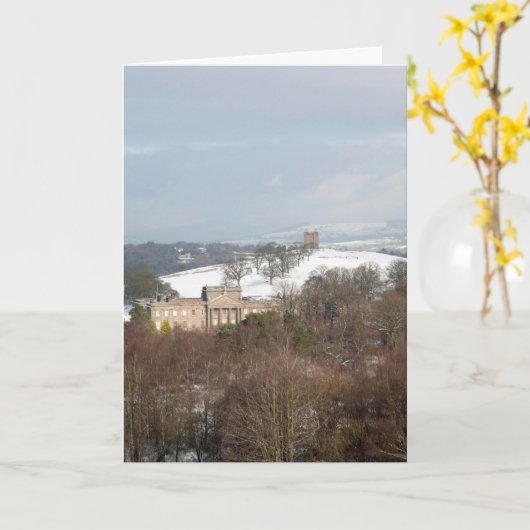 ライムとケージの冬 カード (黄色い花)