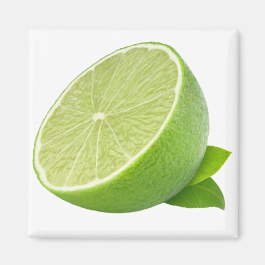 ライムの半分 マグネット (正面)