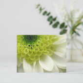 ライムの御馳走 ポストカード (スタンド正面)