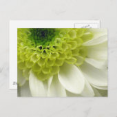 ライムの御馳走 ポストカード (正面/裏面)