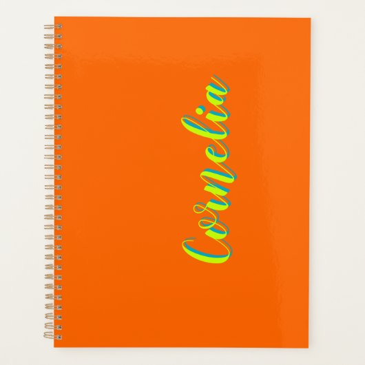 ライムイエロー3D春グリーン名 | オレンジおもしろい色 プランナー手帳 (正面)