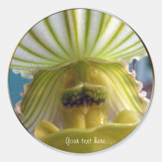 ライムグストライプのリーンスリッパ結婚オーキッドシール ラウンドシール