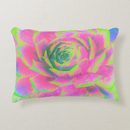 ライムグリーンとピンクの多肉性セダムロゼット アクセントクッション