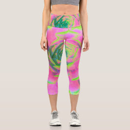 ライムグリーンとピンクの多肉性セダムロゼット カプリレギンス