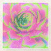 ライムグリーンとピンクの多肉性セダムロゼット ガラスコースター (正面)