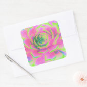 ライムグリーンとピンクの多肉性セダムロゼット スクエアシール (封筒)