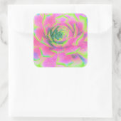 ライムグリーンとピンクの多肉性セダムロゼット スクエアシール (バッグ)