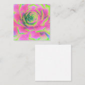 ライムグリーンとピンクの多肉性セダムロゼット スクエア名刺 (正面/裏面)