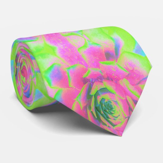 ライムグリーンとピンクの多肉性セダムロゼット ネクタイ (ロール)