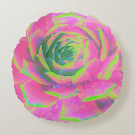 ライムグリーンとピンクの多肉性セダムロゼット ラウンドクッション