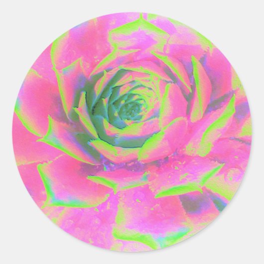 ライムグリーンとピンクの多肉性セダムロゼット ラウンドシール (正面)