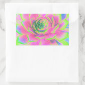 ライムグリーンとピンクの多肉性セダムロゼット 長方形シール (バッグ)
