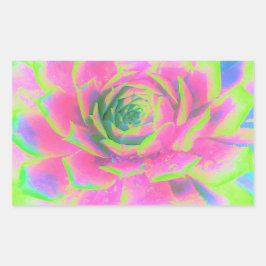 ライムグリーンとピンクの多肉性セダムロゼット 長方形シール