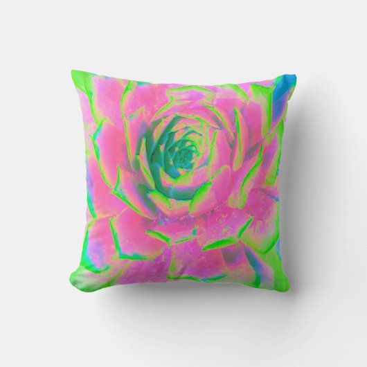 ライムグリーンとピンクの多肉植物セダムのロゼット クッション (正面)