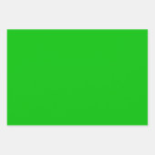 ライムグリーン独身の全大事な行事自然カラー ラッピングペーパーシート (正面3)