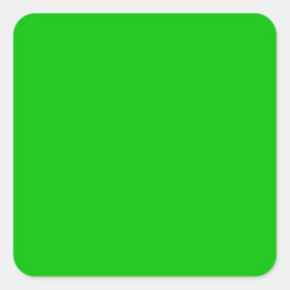 ライムグリーン スクエアシール