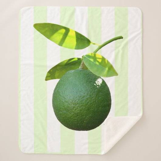 ライムシェルパブランケット シェルパブランケット (正面)