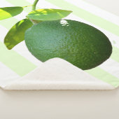 ライムシェルパブランケット シェルパブランケット (3/4)