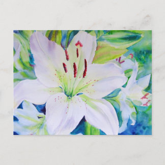 ライムセット ポストカード