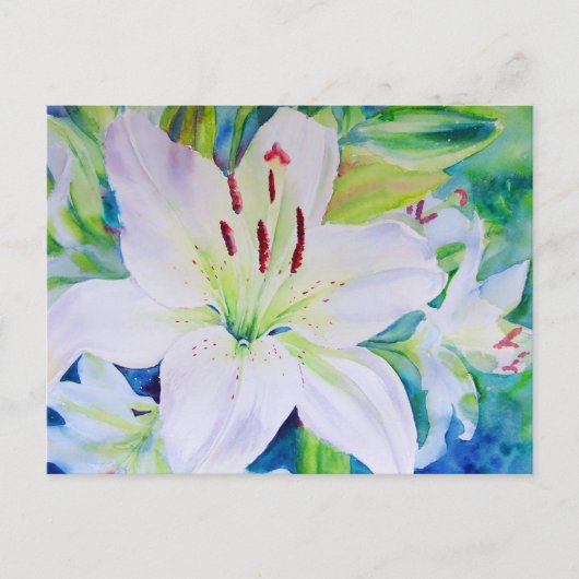 ライムセット ポストカード (正面)